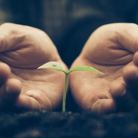 (细胞世界探秘课程)探索细胞世界游戏：揭开微观生物的神秘面纱与科学奥秘
