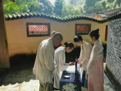 (盖亚介绍)探讨与盖亚相关的艺术作品及其在文化中的影响与意义