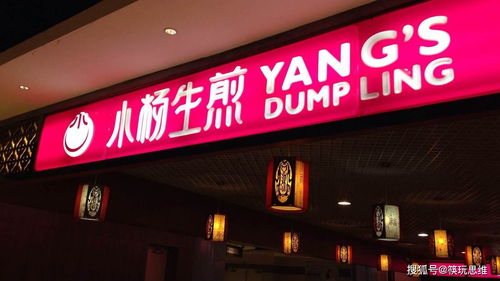 在不夜城开店的热门选择有哪些？推荐几种适合的店铺类型与经营方式。