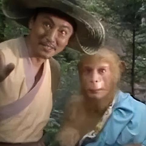(长生剑的小说)长生从练刀开始，剑指天涯无敌者，奋勇向前不畏逆境